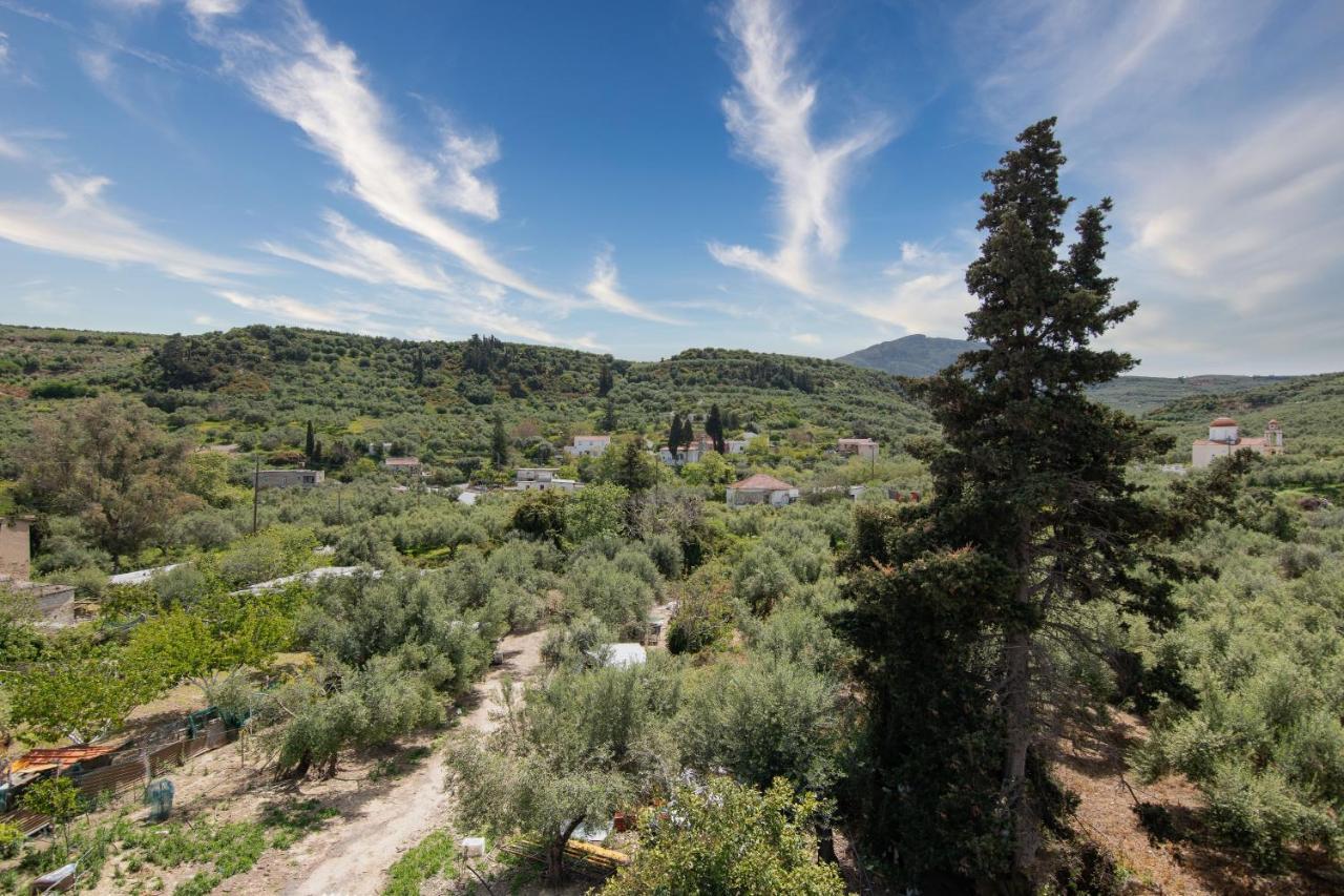 Villa Achilleas Deluxe Αpartment -Pet Friendly-Parking-Mountain View à Kotsianá Extérieur photo